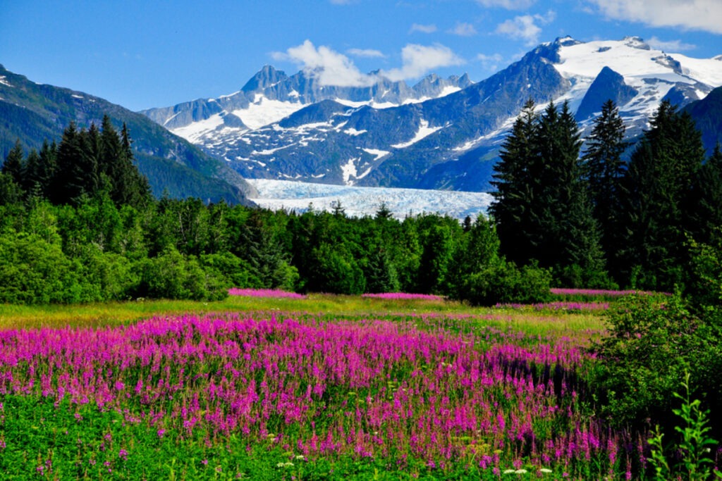 Alaska-1024x683