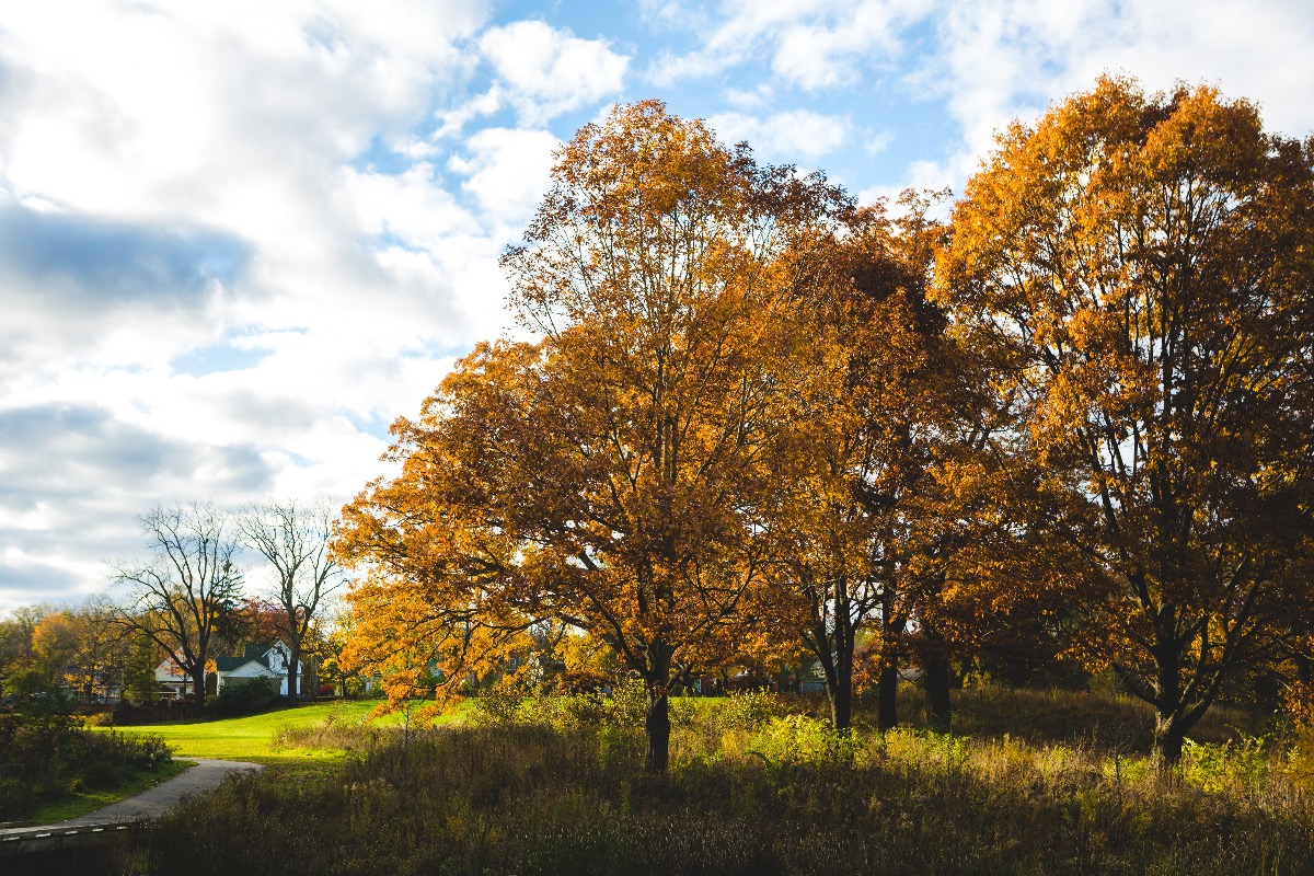 Ann Arbor, MI Car Accident Loans