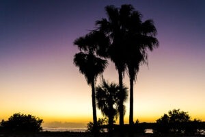 Palm bay fl