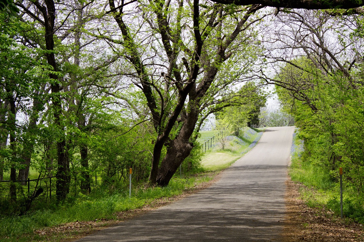 Denton, TX Car Accident Loans
