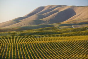 Santa Maria, CA Defective drugs Pre-Settlement Loans
