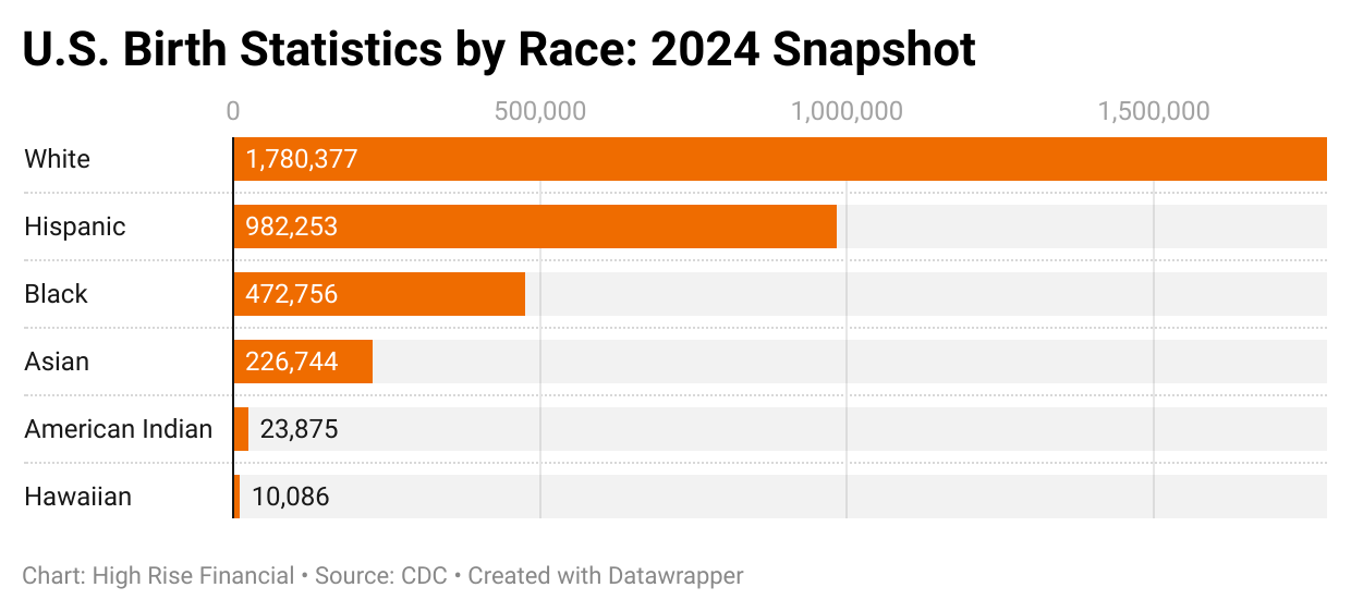 U.S. Birth Statistics by Race 2024 Snapshot